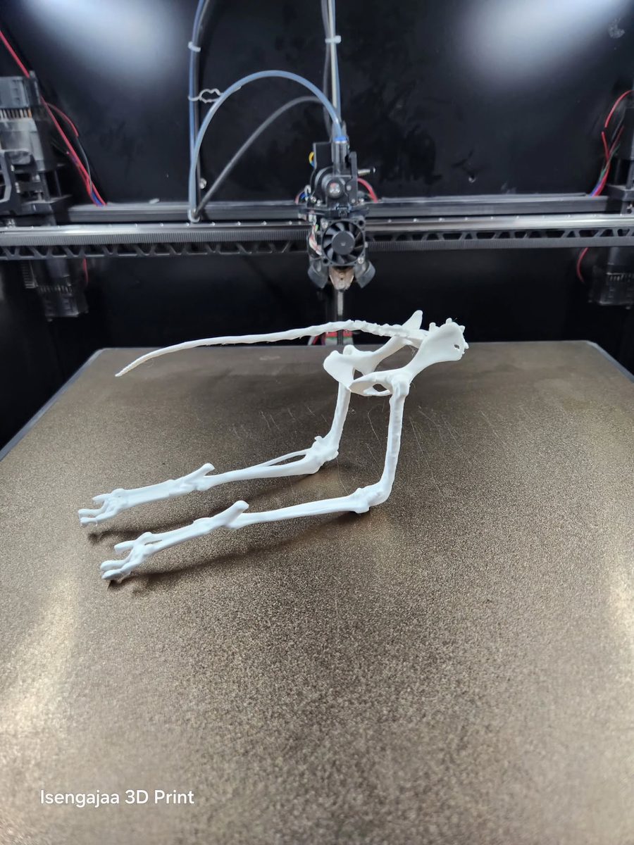 Bone