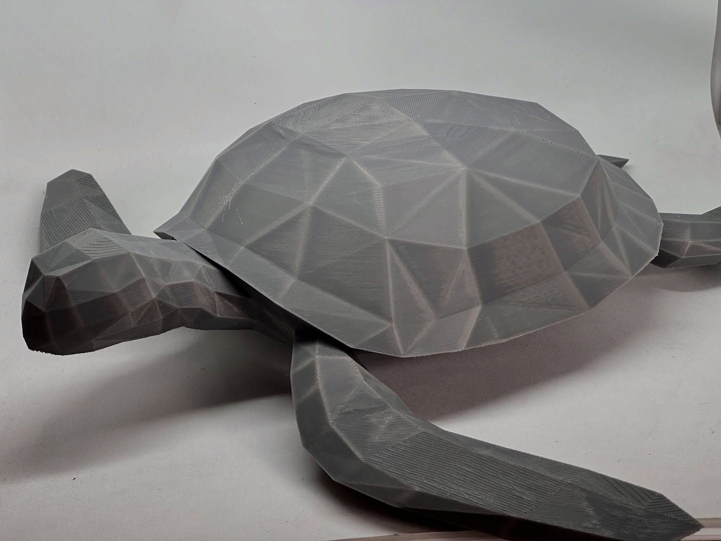 Low Polygon Turtle