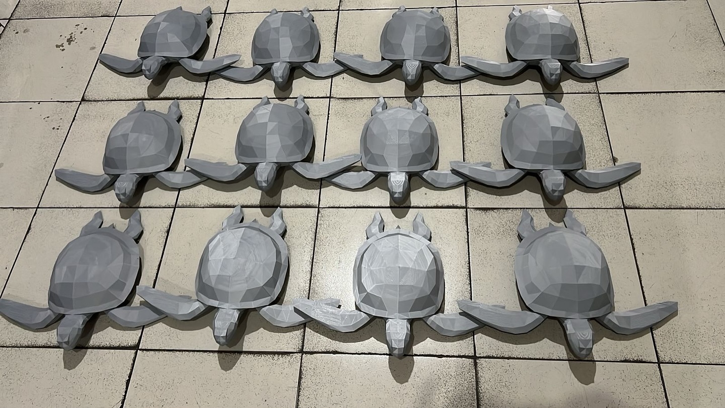 Turtle 50cm Wide