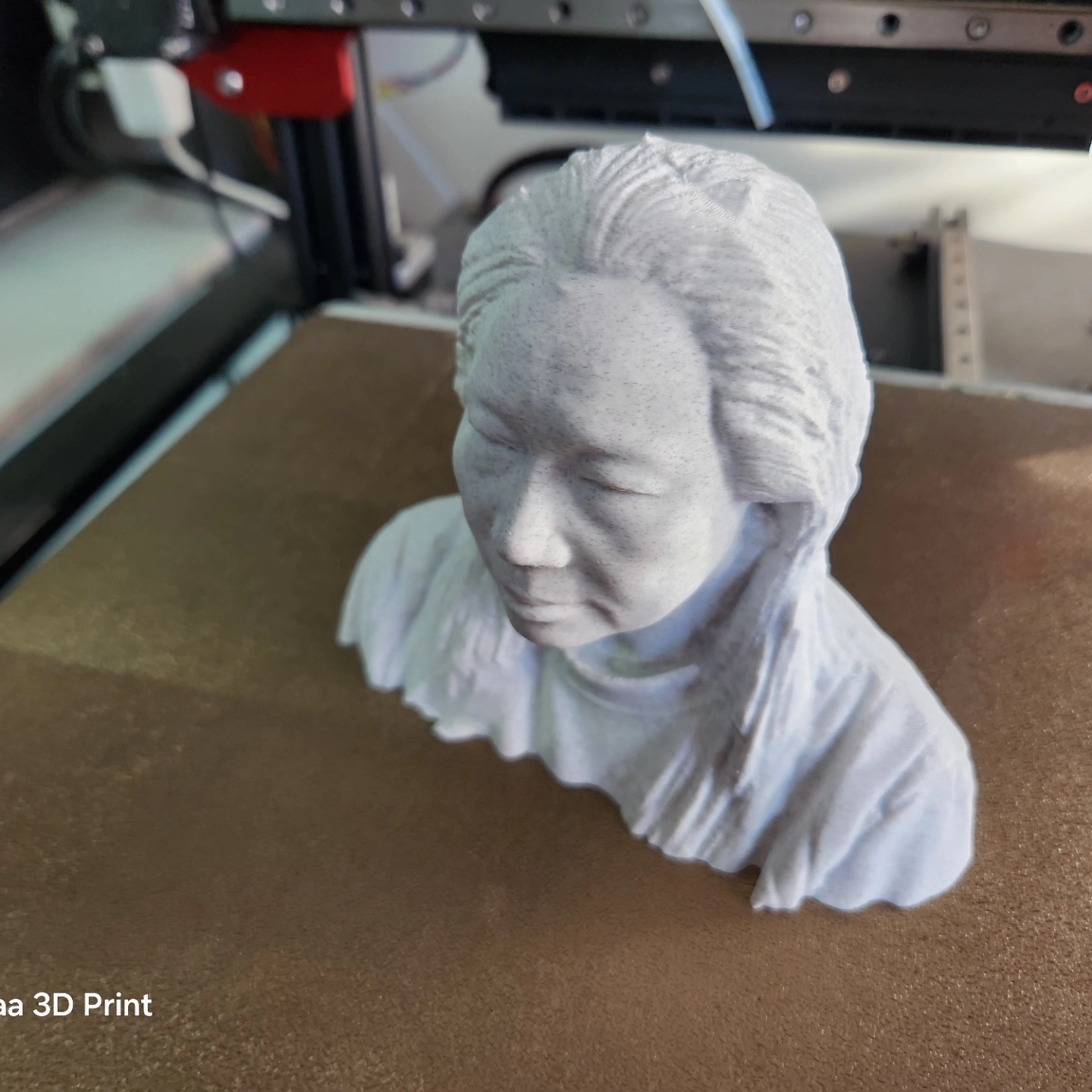 3D Face Print from 3D Scan