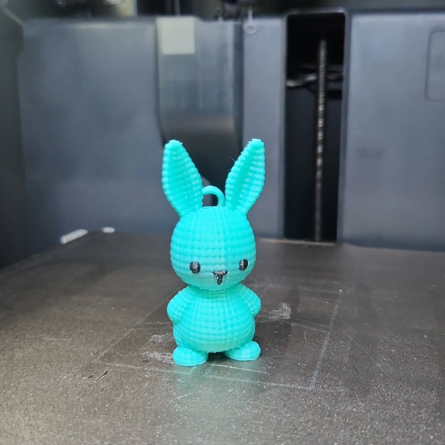 Bunny