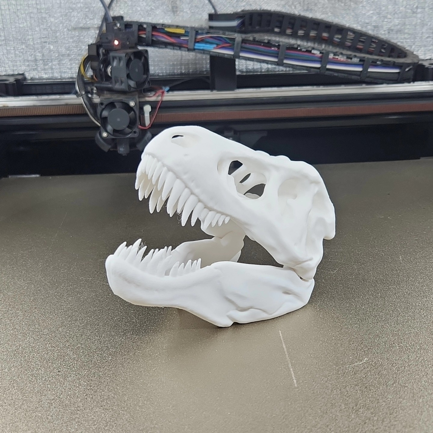Head trex