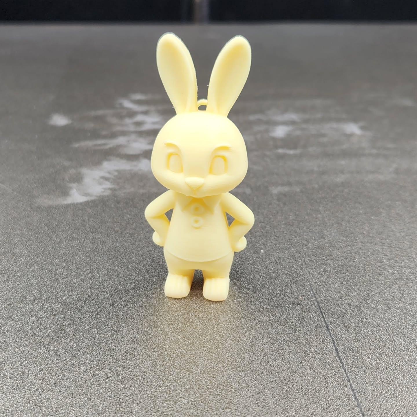 Bunny