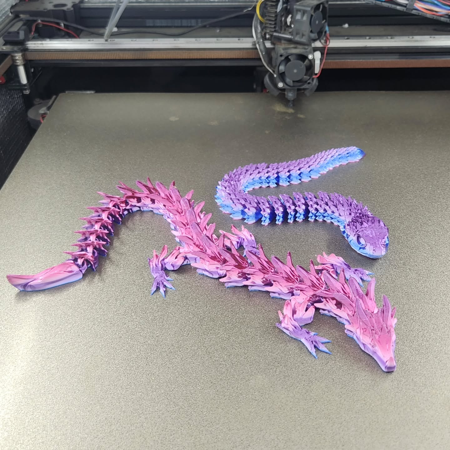 Dragon and snake