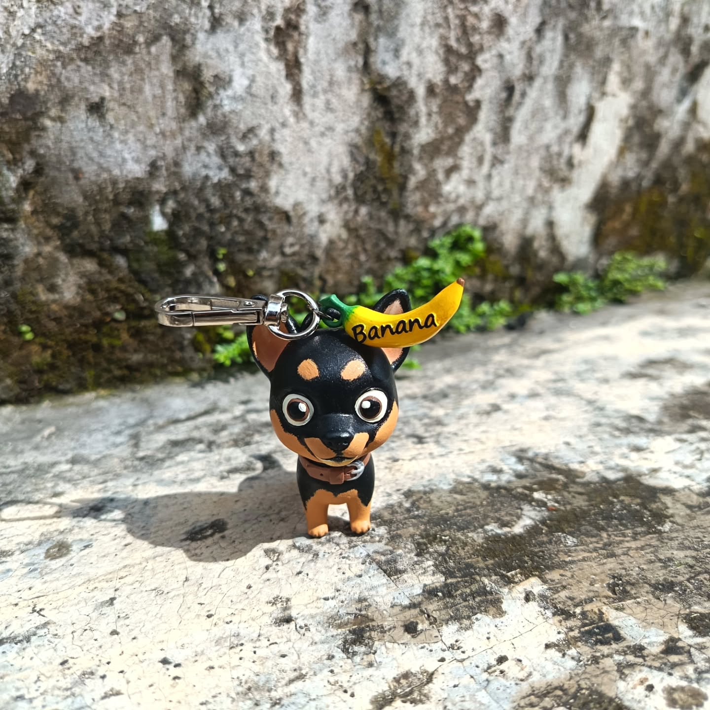 Anjing adalah satu-satunya makhluk di bumi yang mencintaimu lebih dari dia mencintai dirinya sendiri