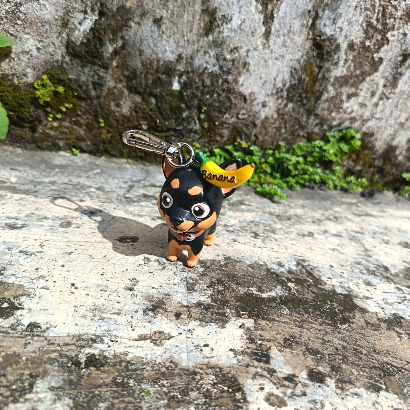 Anjing adalah satu-satunya makhluk di bumi yang mencintaimu lebih dari dia mencintai dirinya sendiri