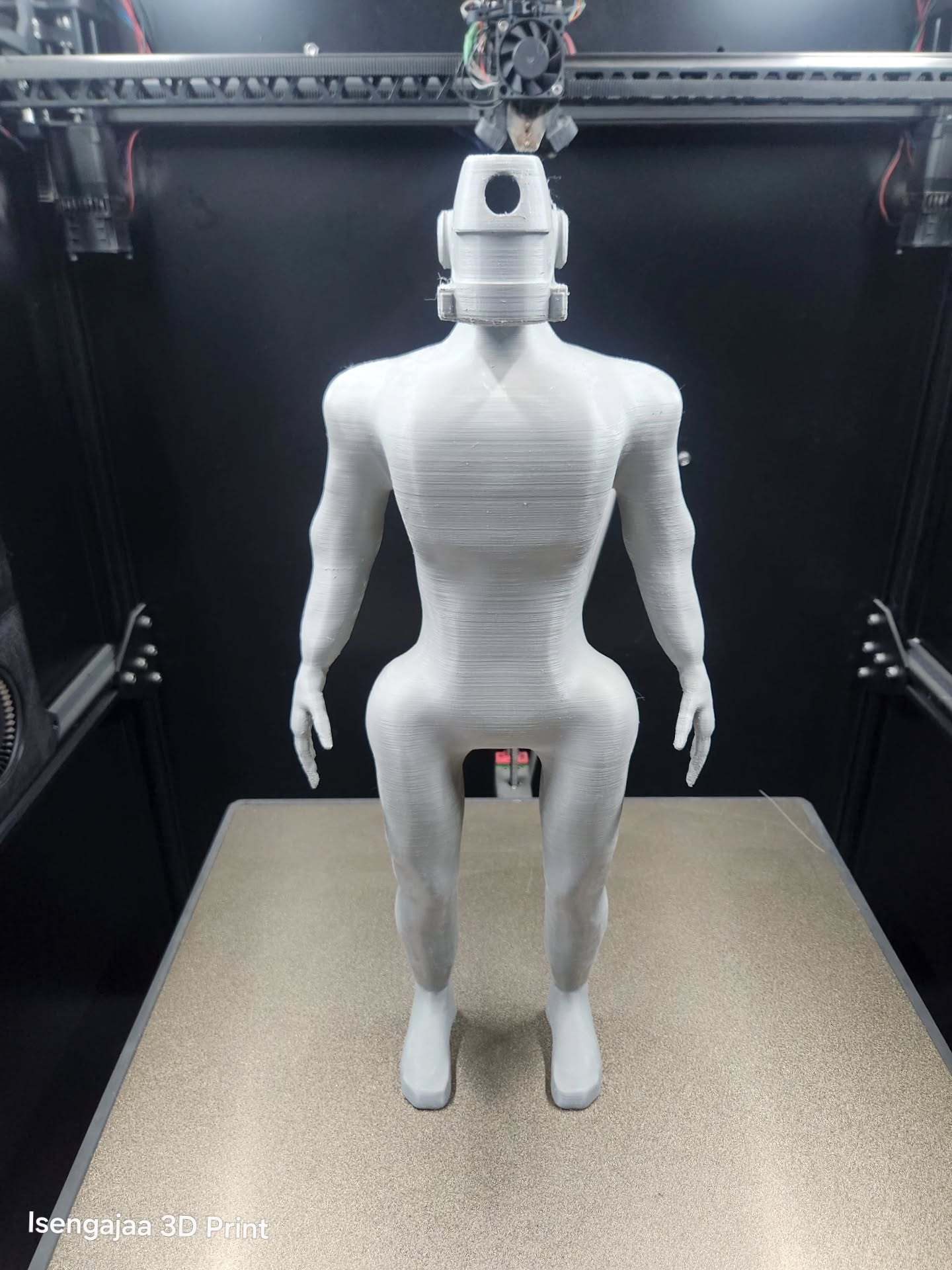 Humanoid