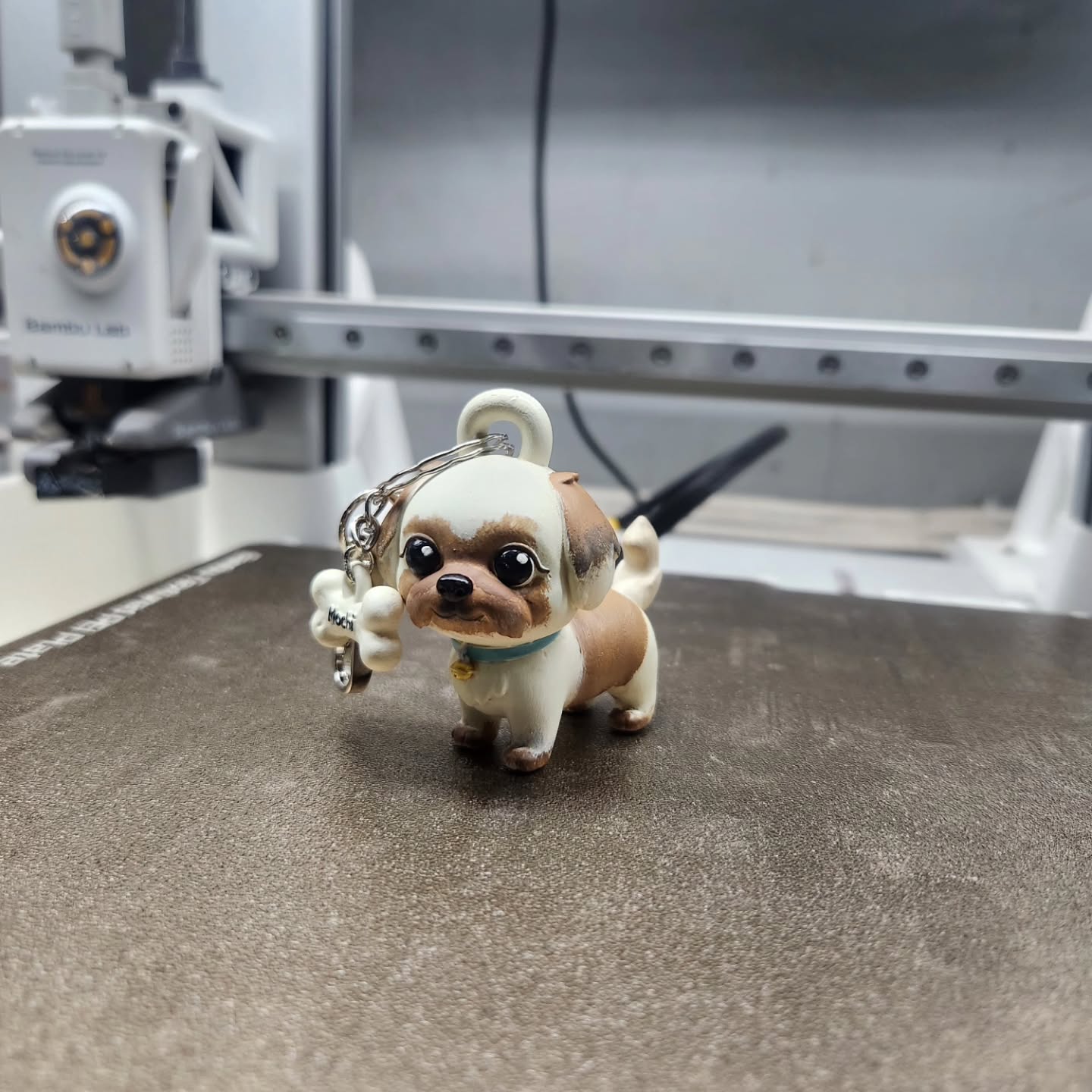 Doggy pom