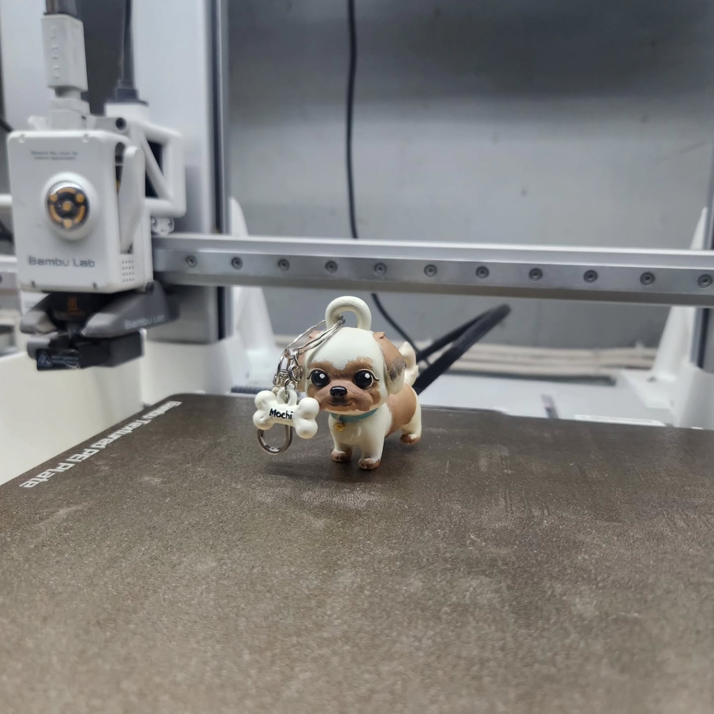 Doggy pom