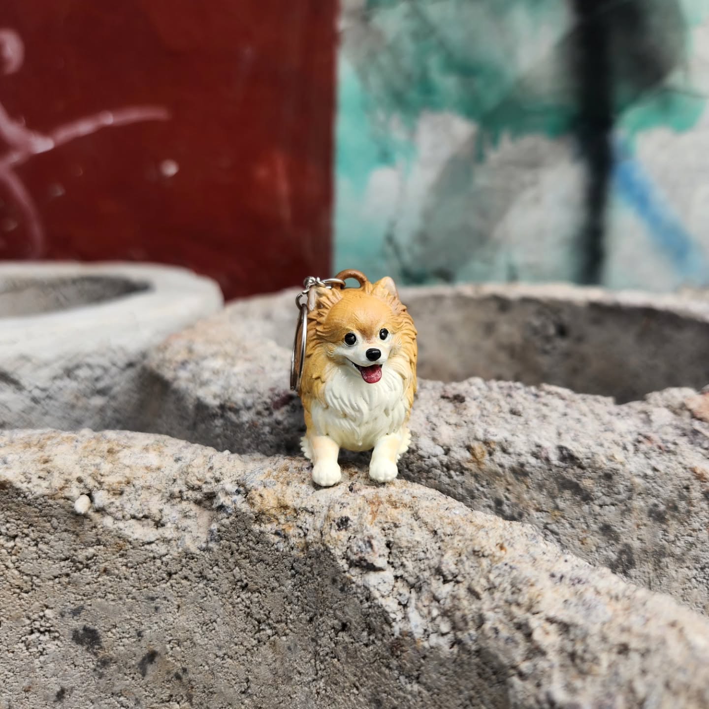 Kecil-kecil tapi penuh pesona 🐶✨