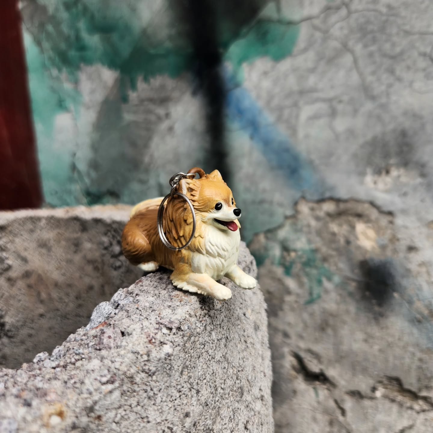 Kecil-kecil tapi penuh pesona 🐶✨